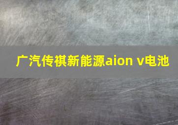 广汽传祺新能源aion v电池